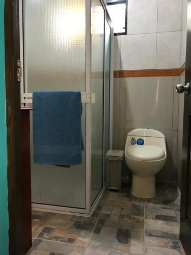 康塞普西翁德阿塔科Villa Castillo de Ensueño的浴室设有卫生间和带蓝毛巾的淋浴。