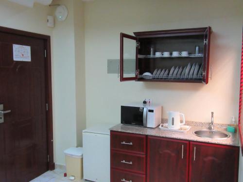 马斯喀特艾菲尔杜斯酒店式公寓的一间带水槽和微波炉的小厨房