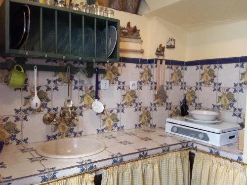ZufreCasa centenaria con encanto的厨房配有带水槽的台面