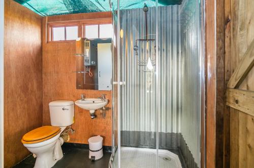 DwarskersbosWest Coast Luxury Tents的带淋浴、卫生间和盥洗盆的浴室