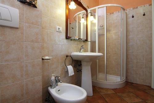 萨尔扎纳Agriturismo di Paterno的一间带水槽、淋浴和卫生间的浴室