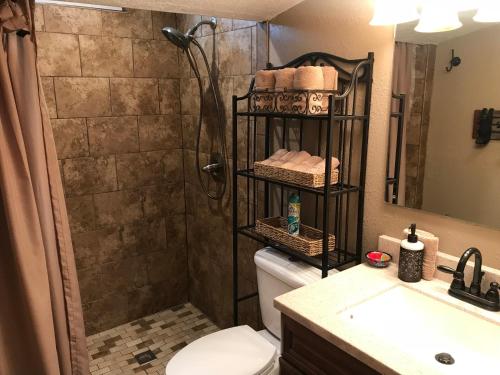 鲁伊多索Gonzales Cozy Little Bear Cabin的带淋浴、卫生间和盥洗盆的浴室