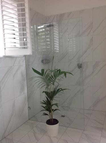 埃利奥特港Port Elliot rural retreat的浴室里的植物