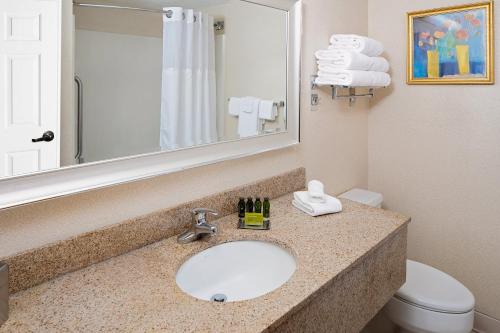 博客斯博拉夫鲍克斯布洛瑞晶斯酒店的一间带水槽、卫生间和镜子的浴室