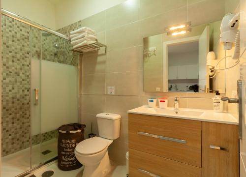 阿雷西费Apartamentos Bello Lanzarote的浴室配有卫生间、盥洗盆和淋浴。