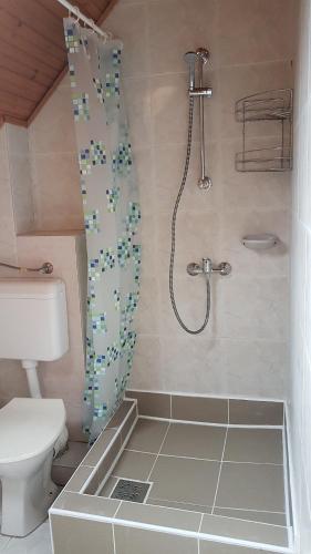 包道乔尼托毛伊Szatmári Vendégház的带淋浴、卫生间和浴帘的浴室