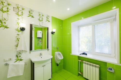 托木斯克Apartments Petrovskie on Kirova 39A的绿色浴室设有水槽和镜子