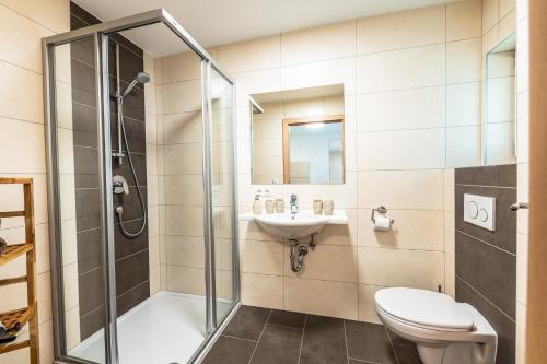 胡本Gästehaus Huben的带淋浴、卫生间和盥洗盆的浴室