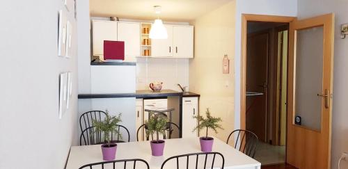 坎弗兰克埃斯塔西翁Vivienda Turística Pirineos XXI的小厨房配有白色的桌子和椅子