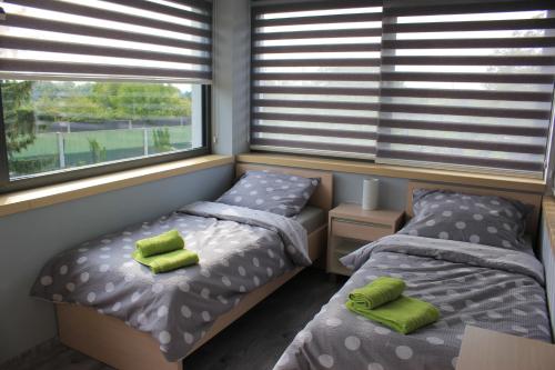 布拉格Apartments Severka的一间卧室设有两张床和两个窗户。