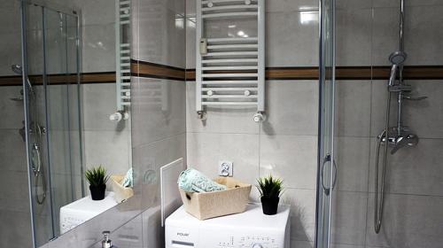 绿山城Sleep4you, Zielona Góra的一间带淋浴的浴室,里面装有植物