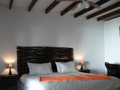 蒙塔古Mountain View Eco Lodge Montagu的一间卧室配有一张带橙色毯子的床