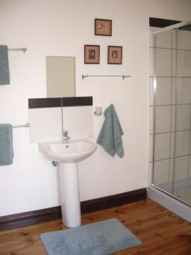 比勒陀利亚Dee's BnB的一间带水槽和淋浴的浴室