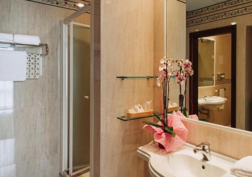 基安奇安诺泰尔梅怡东大酒店的一间带水槽、卫生间和镜子的浴室