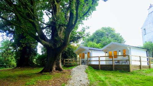 CarrigansDunmore Gardens Log Cabins的前面有一棵树的白色房子