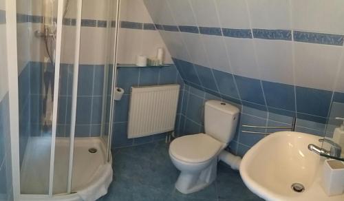 波普拉德Star的浴室配有卫生间、淋浴和盥洗盆。