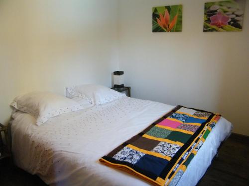 Saint-Gilles-les HautsGéranium et Manguier Guest House的一间卧室配有一张床铺,床上有毯子