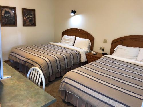 Chatham威力紫汽车旅馆的酒店客房设有两张床和一张桌子。