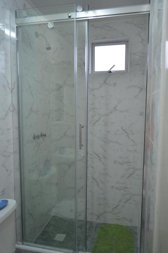 蓬塔阿雷纳斯阿文特拉南方旅馆的浴室里设有玻璃门淋浴