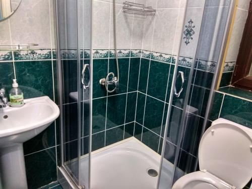 卡拉科尔Kanym Guest Complex的带淋浴、卫生间和盥洗盆的浴室
