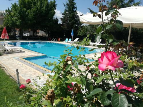 Platy普雷斯帕Spa度假公寓式酒店的前方的游泳池,有粉红色的花
