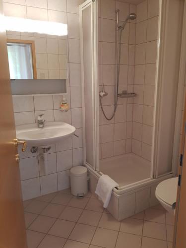 MühlenHotel Restaurant Edelweiss的带淋浴、盥洗盆和卫生间的浴室