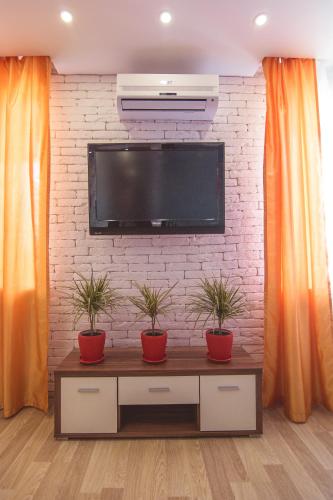 苏梅Vip apartmen Harkovskaya的客厅,电视机前有两株盆栽植物