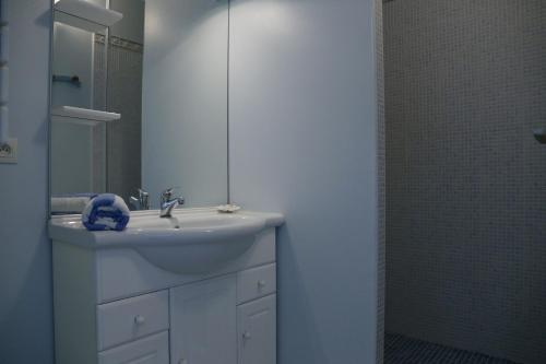 Grand-Village-PlageHotel Residence Les Alizes的白色的浴室设有水槽和镜子