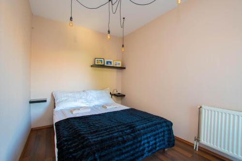 考波什堡Főtér Apartman Kaposvár的一间卧室配有一张带蓝色毯子的床