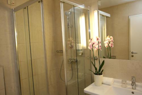 Draganići德拉甘尼克酒店的浴室设有淋浴,水槽上放着花瓶