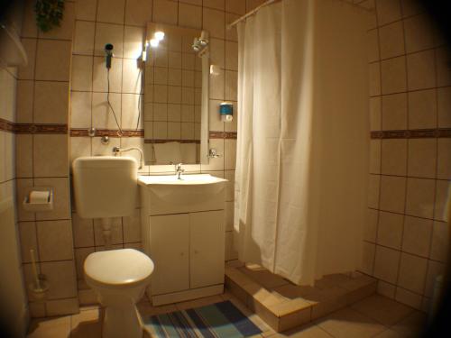 绍尔戈陶尔扬Galcsik Fogadó的浴室配有卫生间、盥洗盆和淋浴。