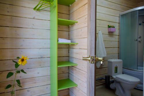 胡日尔Хотэй的一间带卫生间和绿色架子的浴室