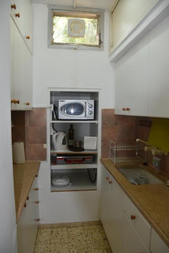 基布兹恩戈蒂Ein Gedi Family Apartment的一间带水槽和微波炉的小厨房