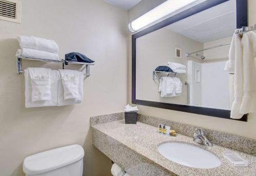 沃尔瑟姆贝斯特韦斯特沃尔瑟姆波士顿酒店的一间带水槽、卫生间和镜子的浴室
