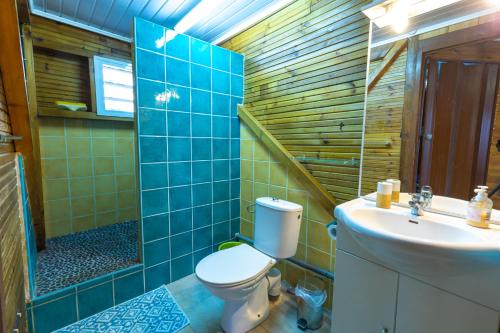 DesbassynsChez Seb & Klo的蓝色瓷砖浴室设有卫生间和水槽