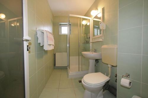 布什泰尼Pensiunea Confort的浴室配有卫生间、盥洗盆和淋浴。