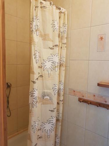 波别罗沃Pobierowo Bracka的淋浴隔邻的浴室内的浴帘