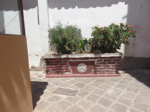 库斯科Tinki Hostel的砖砌壁炉,上面有两株盆栽植物