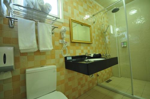 小琉球岛四季轩民宿的一间带水槽、卫生间和淋浴的浴室