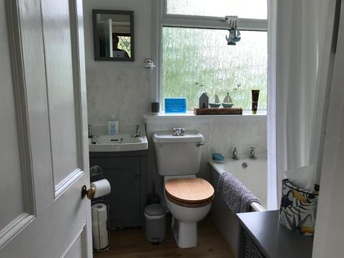 PorthallowFuchsia Cottage的一间带卫生间、水槽和窗户的浴室