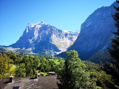 格林德尔瓦尔德Hotel Gletscherblick Grindelwald的享有山景。