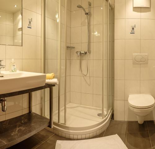 施伦斯加斯豪斯哈斯堡酒店的带淋浴、盥洗盆和卫生间的浴室