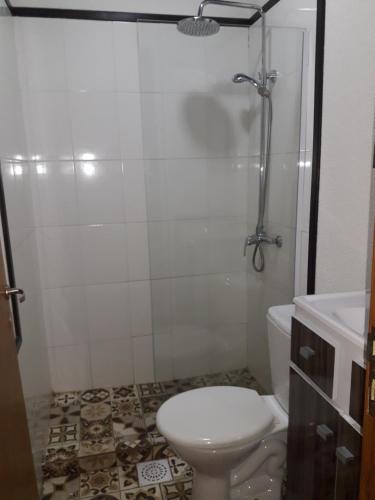 伊瓜苏港Petit Hotel Caraguata的带淋浴、卫生间和盥洗盆的浴室
