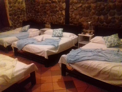 比亚维森西奥Llano Dorado Hotel Campestre的一间卧室,配有三张床