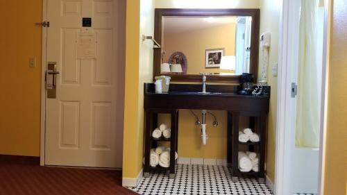福克斯露珠旅馆的一间带水槽和镜子的浴室