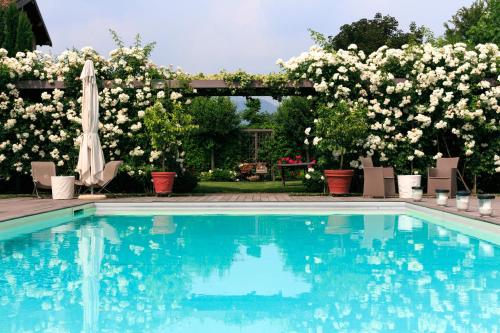 Passirano米诺尔富朗西克塔住宿加早餐旅馆的花园前的游泳池,花园内有白色玫瑰花