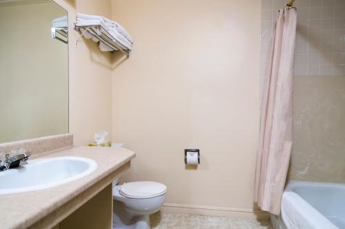 温莎大瀑布Mount Peyton Resort & Conference Centre的浴室配有盥洗盆、卫生间和浴缸。