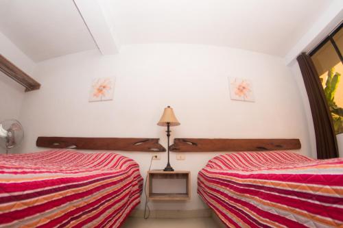 伊察Carola Lodge的白色墙壁客房的两张床