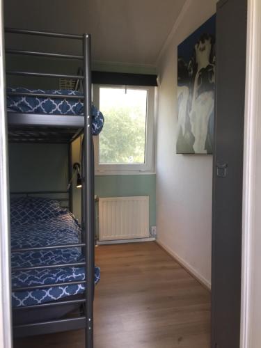 Hensbroekchalet hensbroek的客房设有两张双层床和一扇窗户。