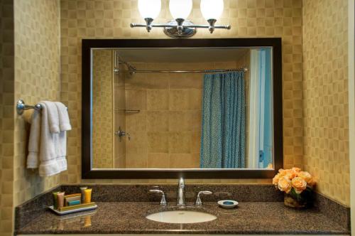 新不伦瑞克Heldrich Hotel and Conference Center的一间带水槽和大镜子的浴室